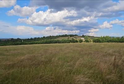 Teren Construcții intravilan de 1000 mp, în Viile Satu Mare - 1