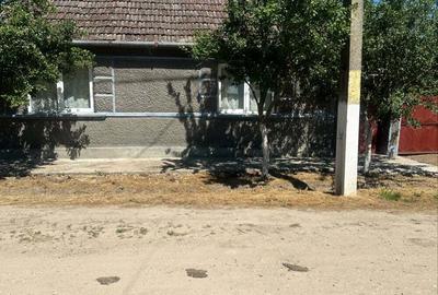 Casă cu 5 camere cu Teren 2500 Mp în Tăut - 6