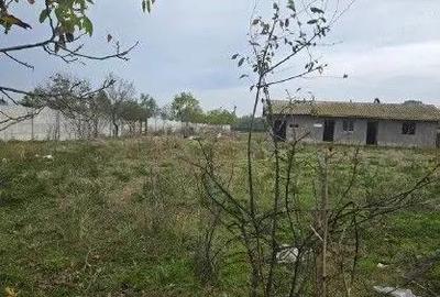 Casă cu Teren 1813 Mp în Orbeasca - 2