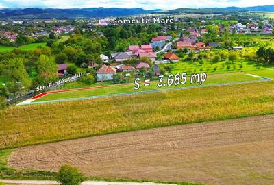 Teren 3,685mp Somcuta Mare / Strada Mocirii - 4