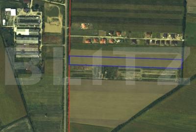 Teren de 14560 mp, în Lazuri - 1