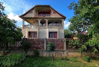 Casă de vânzare cu  teren de 3.869 mp în Cosniciu de Jos /Ip, Sălaj - 3