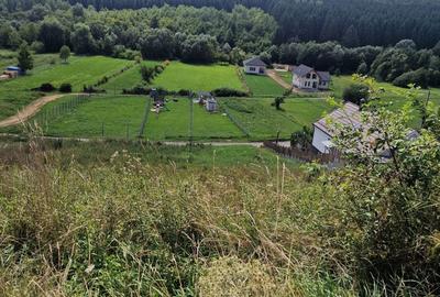 Teren de 1550 mp, în Săvădisla - 1
