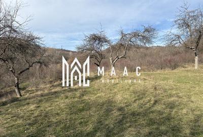 Teren  extravilan I 5300 mpI  Salatrucel -Calimanesti - 5