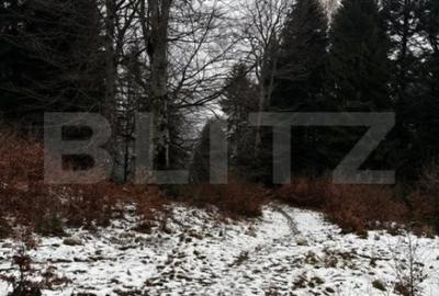 Teren de 4000 mp, în Calea Moroieni - 3