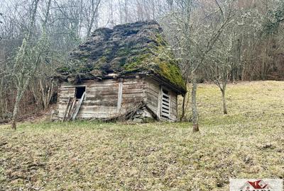 Casa de vanzare in Muntii Apuseni cu 17.596 mp teren - 9