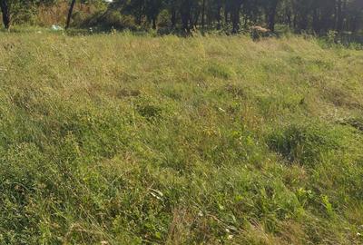 Casă cu 4 camere în Polovragi - 5