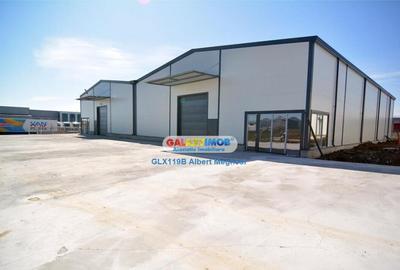 Hala Depozitare 565 mp Afumati - 3