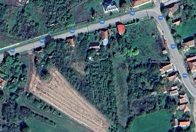 TEREN 2364 mp + CASA VECHE | CAUASD | BIHOR - 2