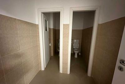 Spațiu comercial, de 260 mp, în Ferdinand - 2