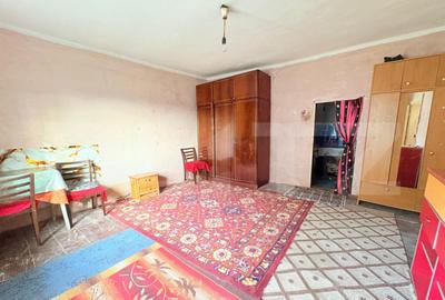 Casa de vanzare, teren 50 de arii, sat Gerau?a - 8