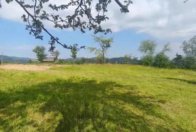 Casa+teren 5000mp, 70ml la DN 2E, zona Cacica, Radauti - 2