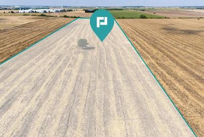 Teren extravilan, zona Freidorf-Sagului, Timisoara Teren extravilan, zona Freidorf-Sagului, Timisoara - 3