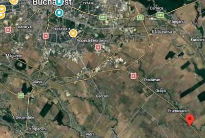 Teren de 4990 mp, în Frumușani - 8