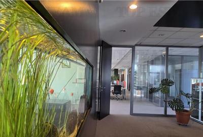 Spațiu comercial, de 367 mp, în Timpuri Noi - 7