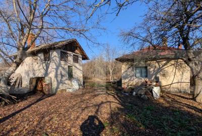 Casă cu 2 camere cu Teren 2000 Mp în Central - 10