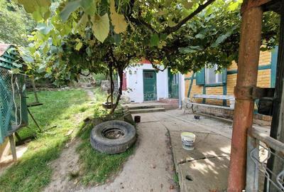 Bocsa, Casa Cocheta de Vacanta cu Teren. - 11