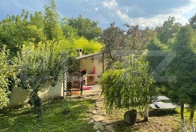 Casa 400 mp, teren 1164 mp, 3 niveluri, zona P-ta Chirila - 15