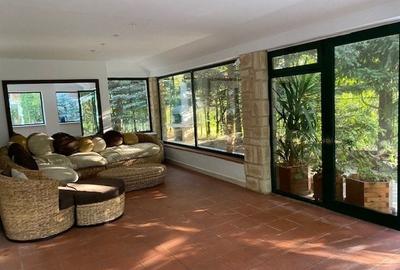 Casă individuală cu 6 camere cu Piscina în Iancu Nicolae - 12