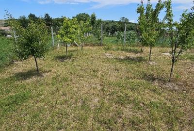 Teren intravilan (loc de casa), Com. Ineu Bihor 1186mp - 10