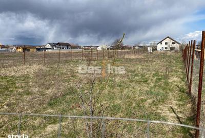 Teren de 900 mp, în Dumbrava - 5