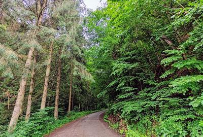 2,64 Ha TEREN SUPERB pe malul raului Crisul Repede padure parau NEGRENI - CLUJ - 27
