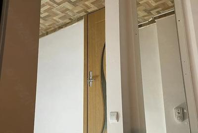 Garsonieră decomandată în Exterior Vest - 9