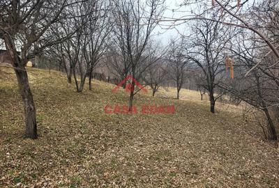 Casă cu Teren 1358 Mp în Gura Beliei - 9