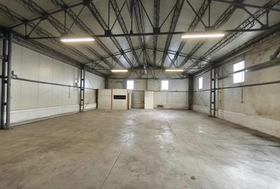 Dumbravita hala 250 mp- 1000 euro - 1