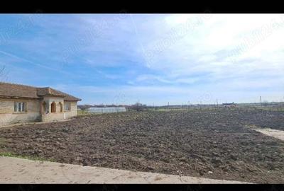 Casa de vanzare,comuna Pecineaga,Constan?a Casa de vanzare,comuna Pecineaga,Constan?a - 2