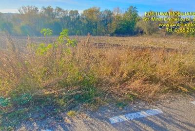 Teren intravilan, intre case, com.Stefan cel Mare Teren intravilan, intre case, com.Stefan cel Mare - 2