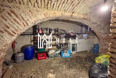 Casa individuala | Teren 700 MP | Acces auto | S+P | Amnas - 20