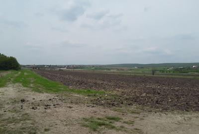 Teren extravilan, Cotofenii din Fata, jud Dolj -id 6954-0... - 4