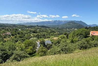 Spațiu comercial, în Bran - 6