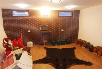 Vila Trivale - Montanstar, teren 1.750mp, piscina, mobilata - 38