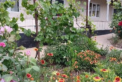 Casă cu 5 camere cu Teren 1918 Mp în Suceveni - 1