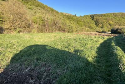 Spațiu comercial, în Sava - 3