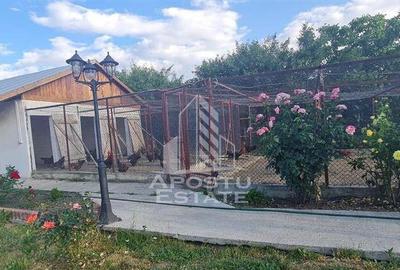 Casa cu teren de 2000 mp, Timisoara - 3