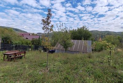 Teren de 5400 mp, în Drăgăneasa - 5