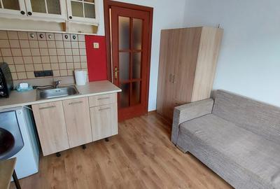 Garsonieră nedecomandată în Buziașului - 3