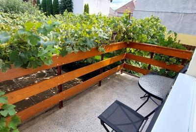 Casa 2 camere si curte de  500mp,spre inchiriere in Valea Aurie - 10