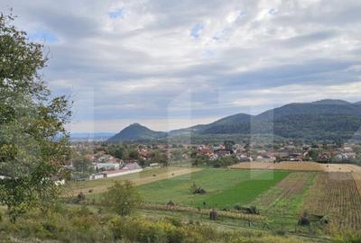 Vila la ro?u, 240 mp, teren 93.000 mp - ?oimu? - 7