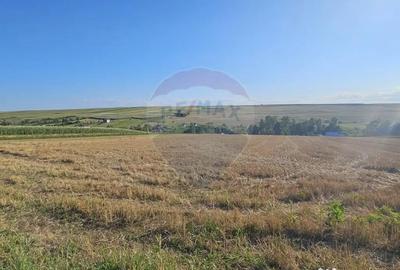 Teren de 7500 mp, în Moara - 6