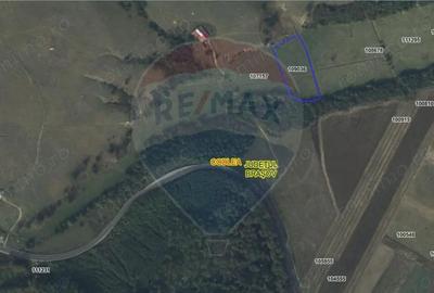Teren de 10000 mp, în Nord - 2