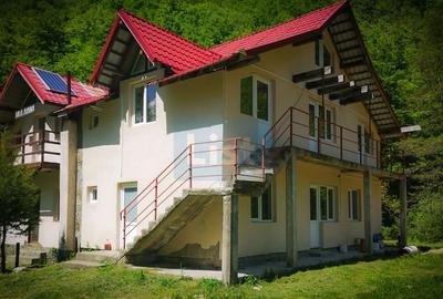 Casă cu 9 camere cu Teren 1029 Mp în Obârșia-Cloșani - 3