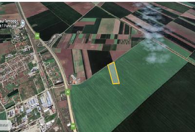 Teren 27.600 mp pretabil industrial – Autostrada Soarelui (A2), Fundulea - 2