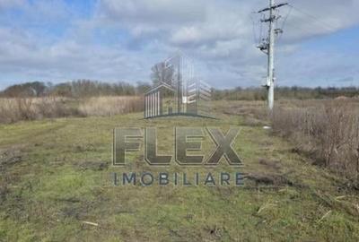 Teren intravilan în Dorobanți - 8