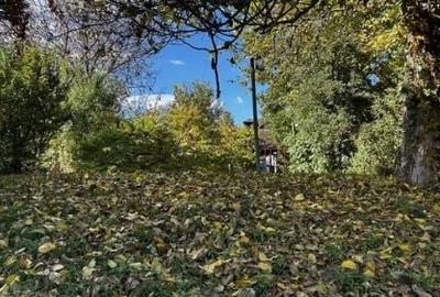 Lacul Snagov,3 camere,suprafata 1170mp,gaze, electricitate, apă, centrala termic - 2