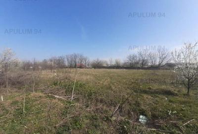 Teren cu vizibilitate extraordinara - 100ml la DNCB Centu... Teren cu vizibilitate extraordinara - 100ml la DNCB Centu... - 13