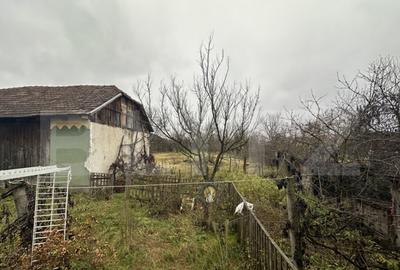 Teren 3000 mp + 2 case de vanzare-Ca?eiu - 19